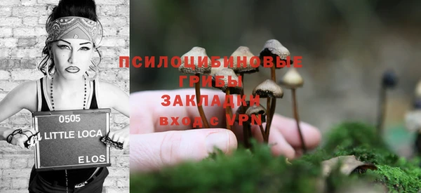твердый Алзамай