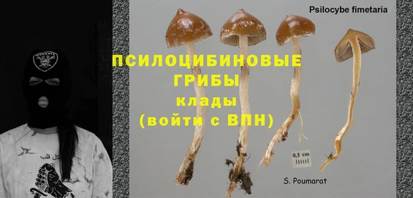 дмт Алексеевка