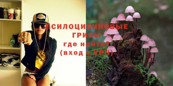 дмт Алексеевка