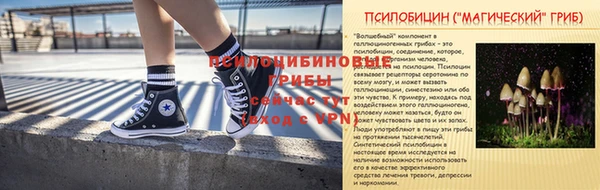первитин Алексин
