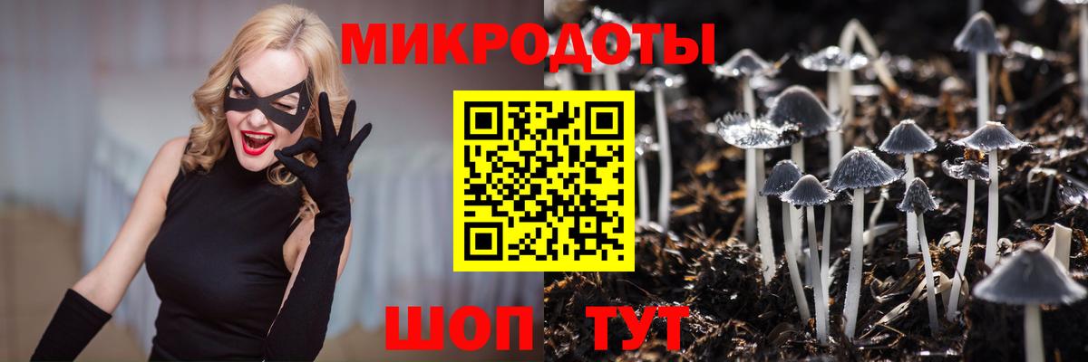 Котовск  купить наркотик  Вход с VPN  Галлюциногенные грибы Magic Shrooms 