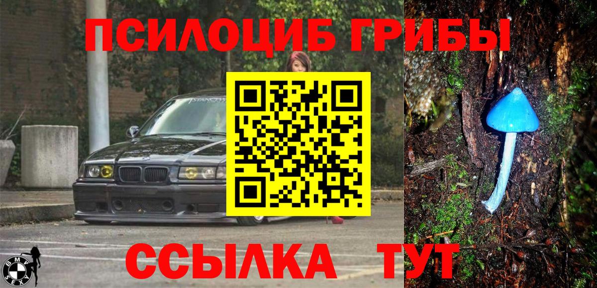 Псилоцибиновые грибы прущие грибы Котовск