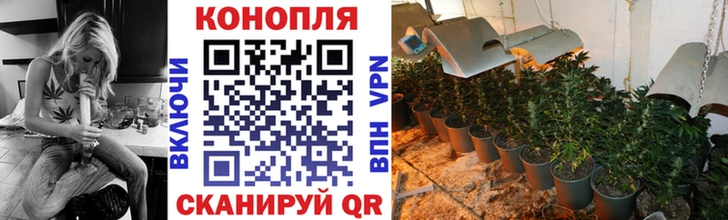 где купить наркоту  KRAKEN вход  Конопля AK-47  Котовск 